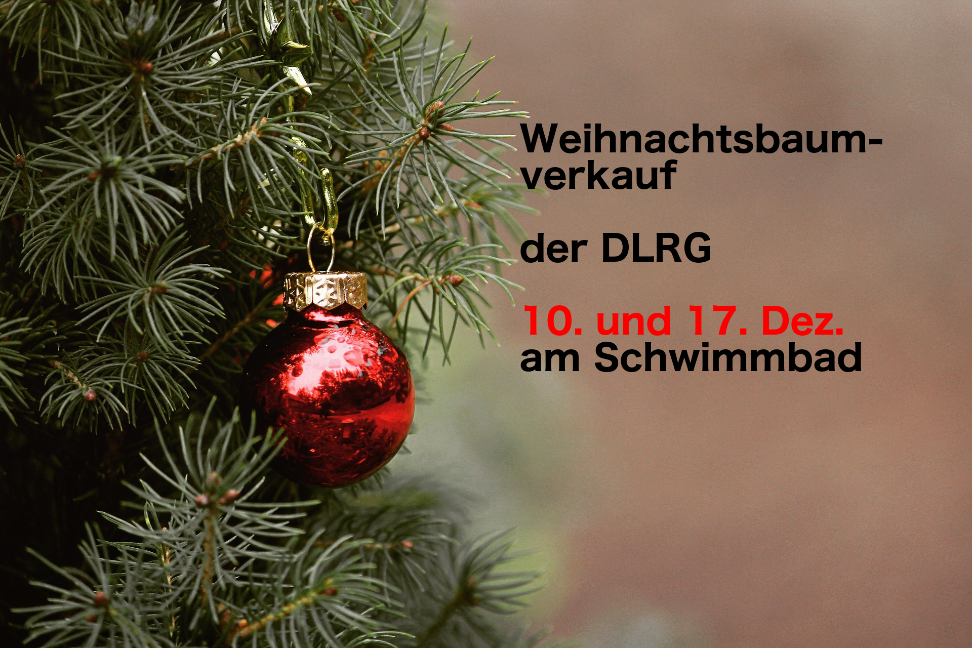 Weihnachtsbaumverkauf DLRG