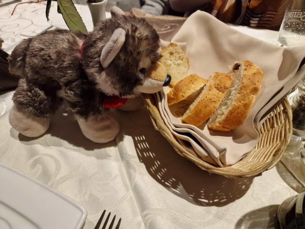 Lupine schnuppert neugierig am Brotkorb im Restaurant Zoés